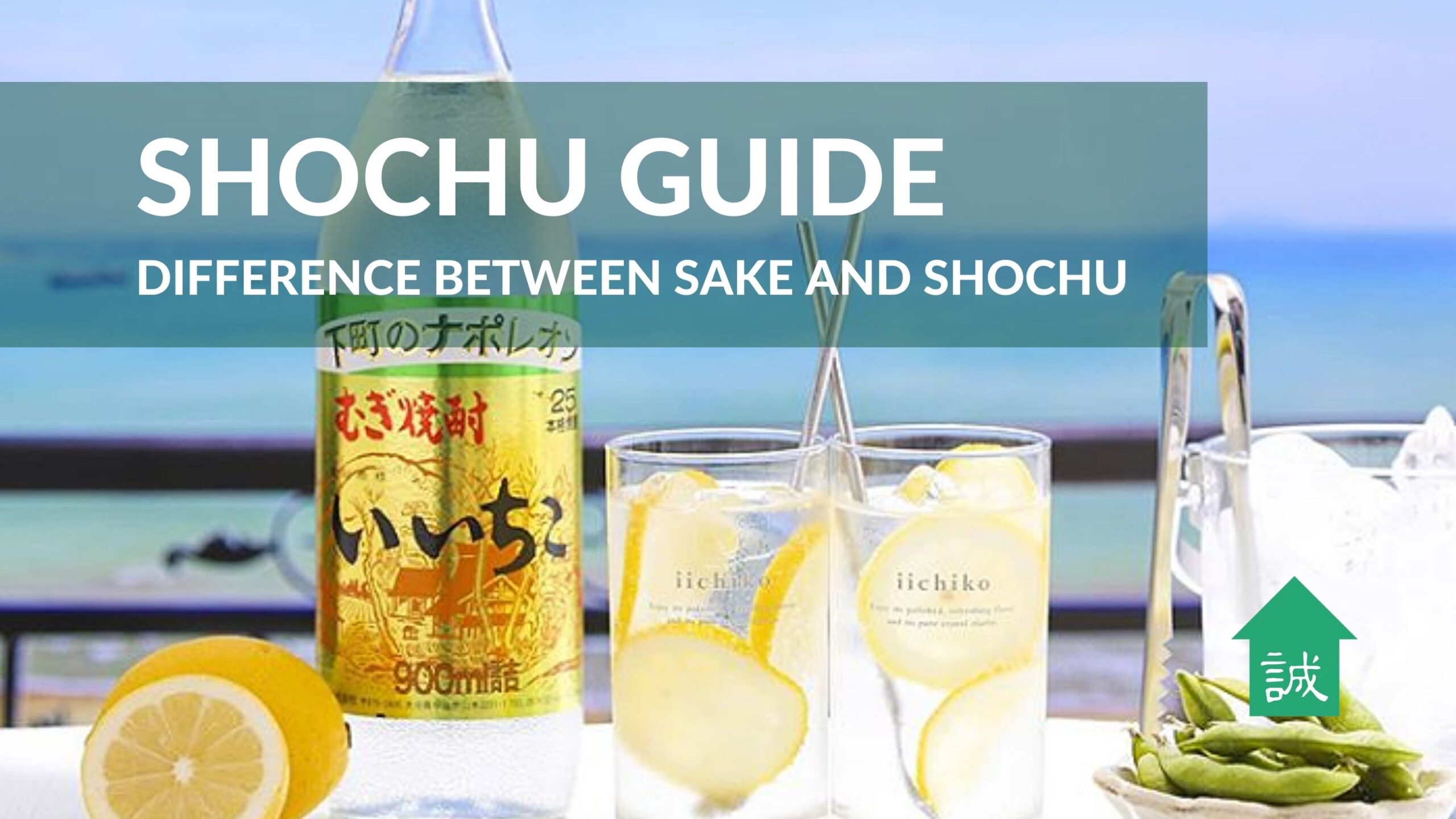 makoto-ya - difference between sake and shochu