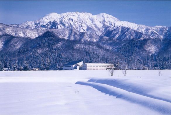 hakkaisan